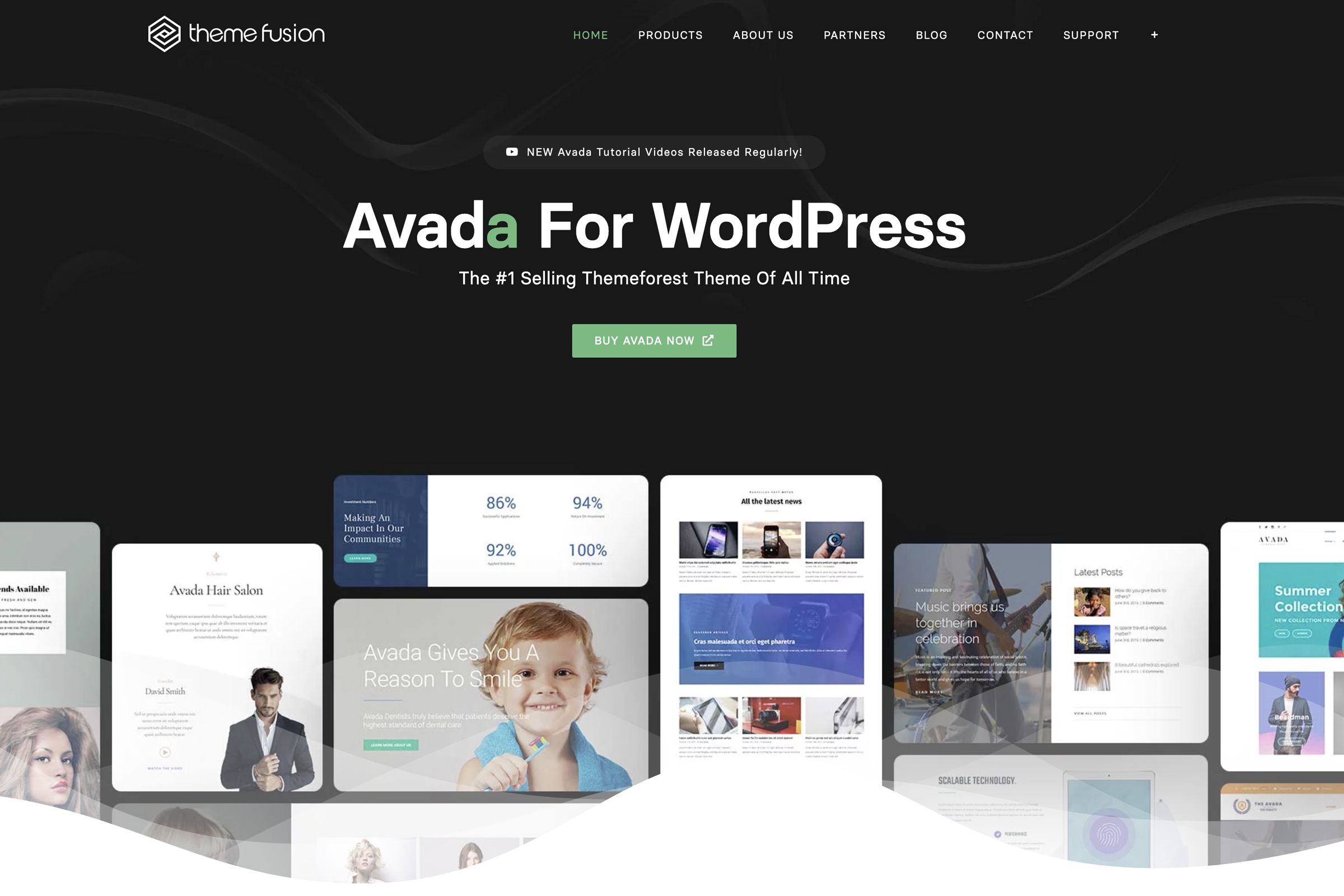 ThemeFusion Sponsorship